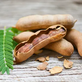 Tamarind pods โ Pineal Guardian ingredient